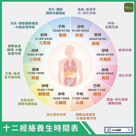 身體五行時間|跟著時辰去養生 十二經絡養生時間表｜中醫精髓｜該 